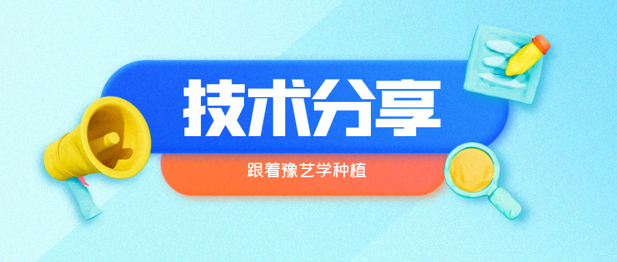 秋大棚辣椒、番茄育苗關(guān)鍵技術(shù)分享